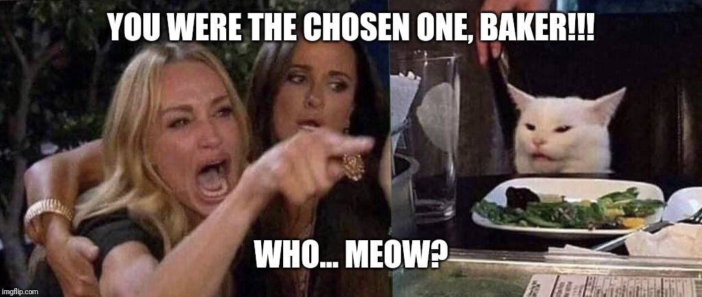 woman yelling at cat | YOU WERE THE CHOSEN ONE, BAKER!!! WHO... MEOW? | image tagged in woman yelling at cat | made w/ Imgflip meme maker