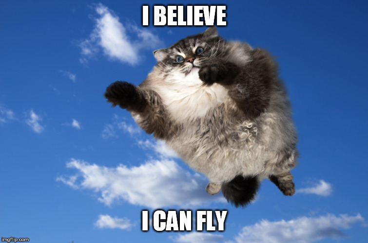 I BELIEVE I CAN FLY | made w/ Imgflip meme maker