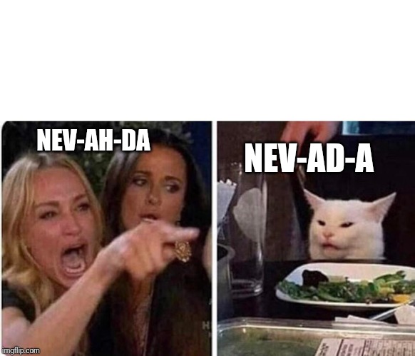 Lady screams at cat | NEV-AH-DA; NEV-AD-A | image tagged in lady screams at cat | made w/ Imgflip meme maker