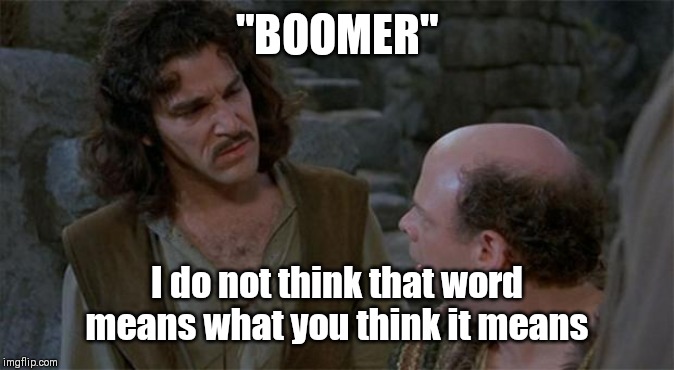 Princess Bride | "BOOMER"; I do not think that word means what you think it means | image tagged in princess bride | made w/ Imgflip meme maker