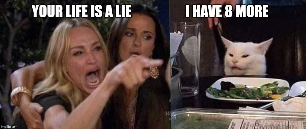 woman yelling at cat | YOUR LIFE IS A LIE                    I HAVE 8 MORE | image tagged in woman yelling at cat | made w/ Imgflip meme maker