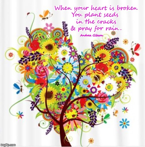 When your heart is broken
You plant seeds 
in the cracks
& pray for rain. Andrea Gibson | image tagged in broken heart,braveheart,hurt,healing,seeds,thoughts and prayers | made w/ Imgflip meme maker