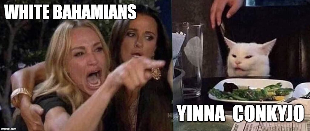 woman yelling at cat | WHITE BAHAMIANS; YINNA  CONKYJO | image tagged in woman yelling at cat | made w/ Imgflip meme maker