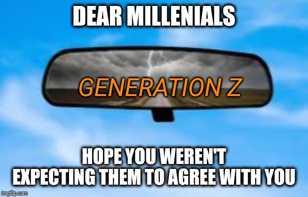 They will choose their own path | DEAR MILLENIALS; GENERATION Z; HOPE YOU WEREN'T EXPECTING THEM TO AGREE WITH YOU | image tagged in mirror | made w/ Imgflip meme maker