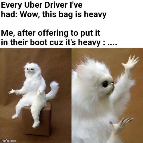 Persian Cat Room Guardian Meme | Every Uber Driver I've had: Wow, this bag is heavy; Me, after offering to put it in their boot cuz it's heavy : .... | image tagged in memes,persian cat room guardian | made w/ Imgflip meme maker