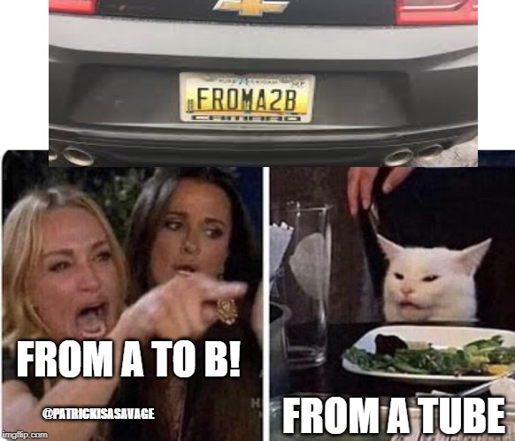 Ladies Yelling at Confused Cat | FROM A TO B! FROM A TUBE; @PATRICKISASAVAGE | image tagged in ladies yelling at confused cat,confused cat,license plate,white cat | made w/ Imgflip meme maker