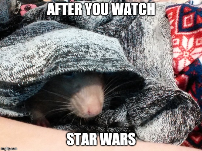 Star-Wars-Meme | AFTER YOU WATCH; STAR WARS | image tagged in star-wars-meme | made w/ Imgflip meme maker