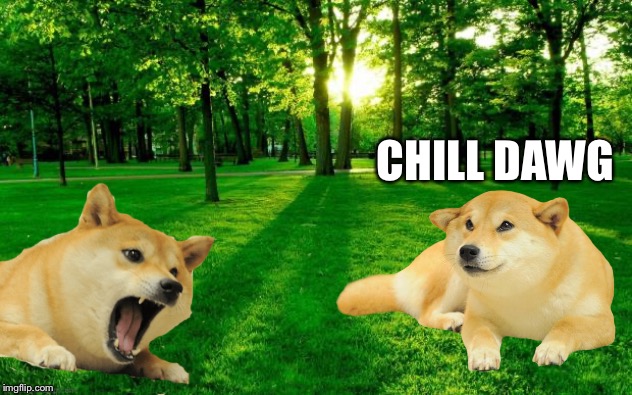 Grass and trees | CHILL DAWG | image tagged in grass and trees | made w/ Imgflip meme maker
