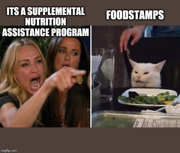 FOODSTAMPS; ITS A SUPPLEMENTAL NUTRITION ASSISTANCE PROGRAM | image tagged in woman yelling at a cat | made w/ Imgflip meme maker