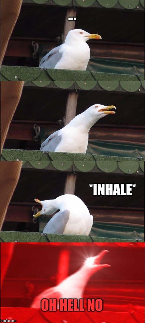 Inhaling Seagull Meme | ... *INHALE* OH HELL NO | image tagged in memes,inhaling seagull | made w/ Imgflip meme maker
