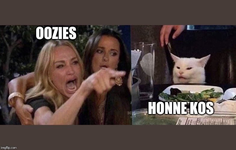 woman yelling at cat | OOZIES; HONNE KOS | image tagged in woman yelling at cat | made w/ Imgflip meme maker