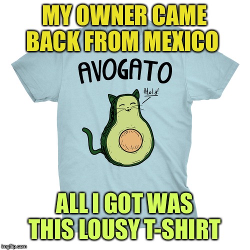 MY OWNER CAME BACK FROM MEXICO ALL I GOT WAS THIS LOUSY T-SHIRT | made w/ Imgflip meme maker