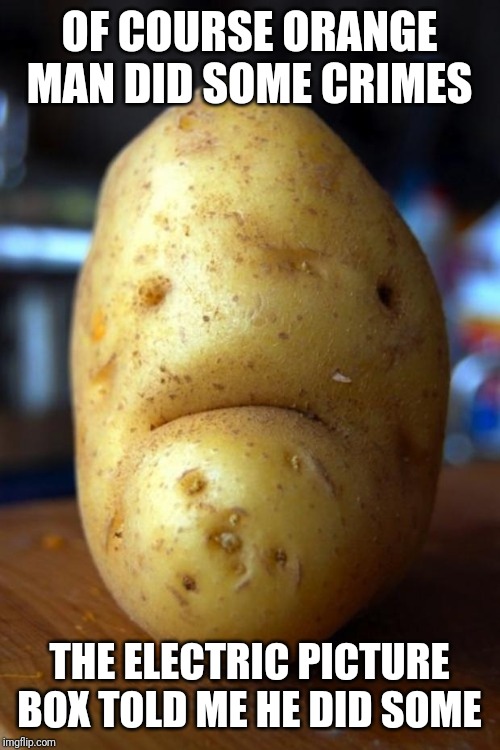 sad potato | OF COURSE ORANGE MAN DID SOME CRIMES THE ELECTRIC PICTURE BOX TOLD ME HE DID SOME | image tagged in sad potato | made w/ Imgflip meme maker