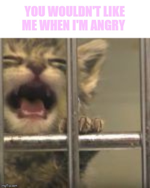 YOU WOULDN'T LIKE ME WHEN I'M ANGRY | made w/ Imgflip meme maker