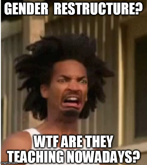 GENDER  RESTRUCTURE? WTF ARE THEY TEACHING NOWADAYS? | made w/ Imgflip meme maker