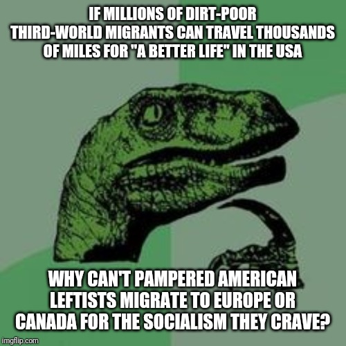 Answer: No Reason, GTFO | IF MILLIONS OF DIRT-POOR THIRD-WORLD MIGRANTS CAN TRAVEL THOUSANDS OF MILES FOR "A BETTER LIFE" IN THE USA; WHY CAN'T PAMPERED AMERICAN LEFTISTS MIGRATE TO EUROPE OR CANADA FOR THE SOCIALISM THEY CRAVE? | image tagged in leftists,stupid,lazy,greedy | made w/ Imgflip meme maker
