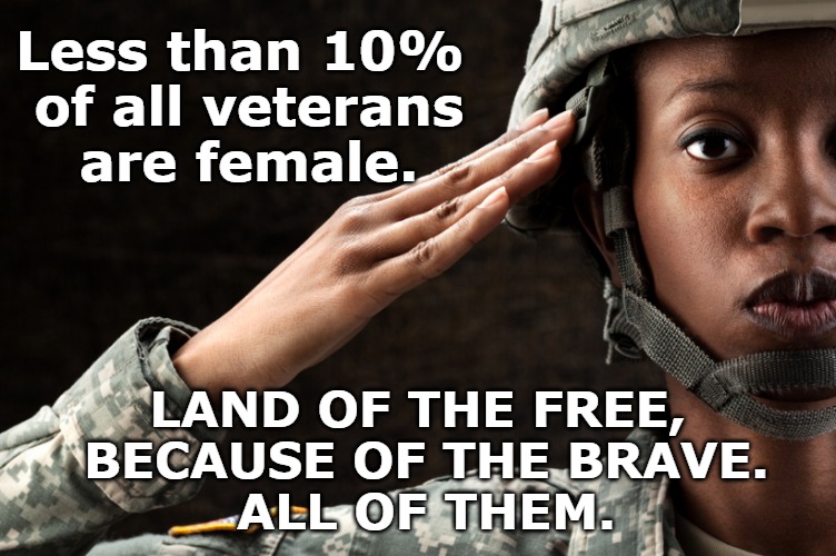 Less than 10% of all veterans are female. | Less than 10% 
of all veterans
 are female. LAND OF THE FREE, 
BECAUSE OF THE BRAVE.
ALL OF THEM. | image tagged in veterans | made w/ Imgflip meme maker