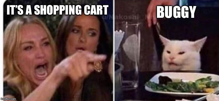 Cat at table | BUGGY; IT’S A SHOPPING CART | image tagged in cat at table | made w/ Imgflip meme maker