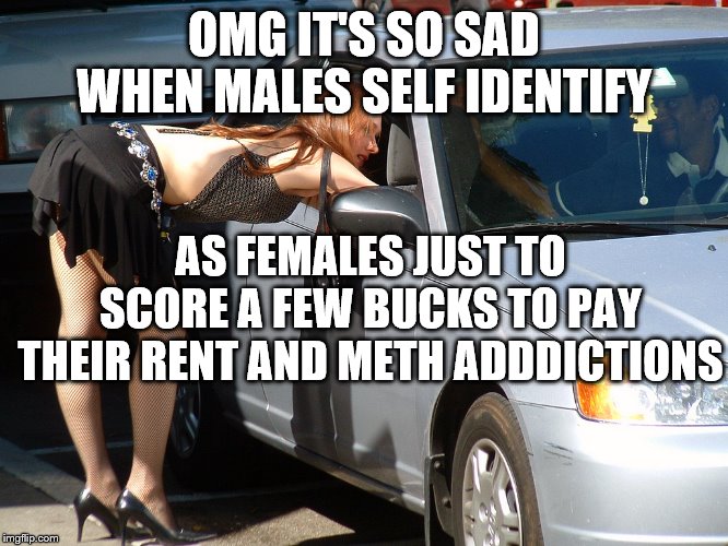 Hooker | OMG IT'S SO SAD WHEN MALES SELF IDENTIFY AS FEMALES JUST TO SCORE A FEW BUCKS TO PAY THEIR RENT AND METH ADDDICTIONS | image tagged in hooker | made w/ Imgflip meme maker