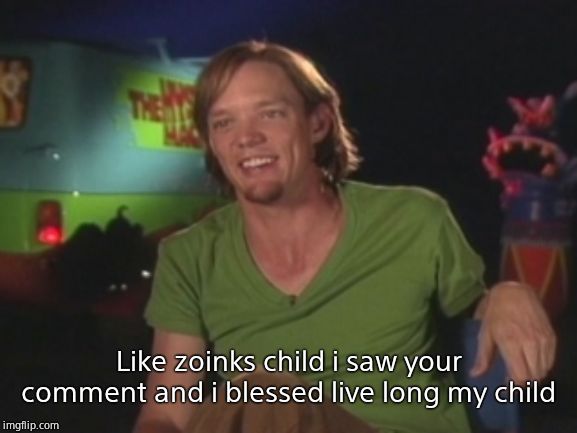 Shaggy Interview | Like zoinks child i saw your comment and i blessed live long my child | image tagged in shaggy interview | made w/ Imgflip meme maker