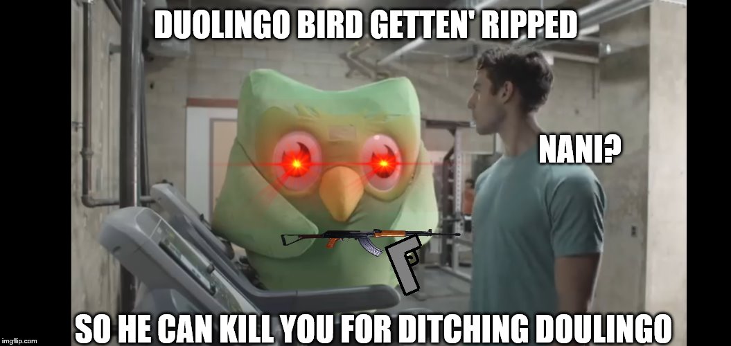 At the gym | DUOLINGO BIRD GETTEN' RIPPED; NANI? SO HE CAN KILL YOU FOR DITCHING DOULINGO | image tagged in at the gym | made w/ Imgflip meme maker