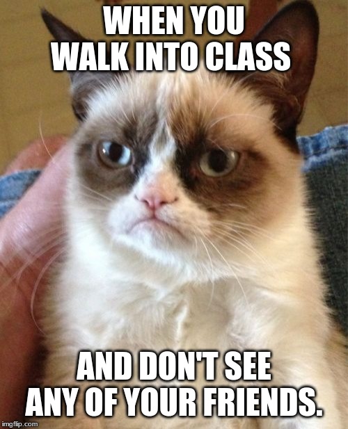 school | WHEN YOU WALK INTO CLASS; AND DON'T SEE ANY OF YOUR FRIENDS. | image tagged in memes,grumpy cat,school | made w/ Imgflip meme maker