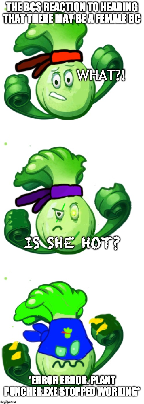 THE BCS REACTION TO HEARING THAT THERE MAY BE A FEMALE BC; WHAT?! IS SHE HOT? *ERROR ERROR. PLANT PUNCHER.EXE STOPPED WORKING* | made w/ Imgflip meme maker