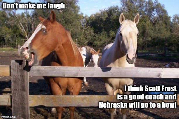 Peg the horse | Don't make me laugh; I think Scott Frost
is a good coach and
Nebraska will go to a bowl | image tagged in peg the horse | made w/ Imgflip meme maker