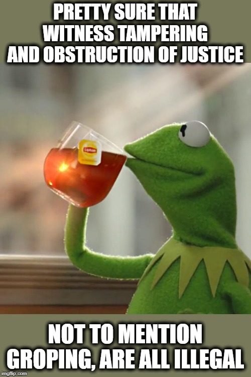 Plane was turned around and man arrested for groping, meanwhile.. | PRETTY SURE THAT WITNESS TAMPERING AND OBSTRUCTION OF JUSTICE; NOT TO MENTION GROPING, ARE ALL ILLEGAL | image tagged in memes,but thats none of my business,kermit the frog,politics,impeach trump,maga | made w/ Imgflip meme maker