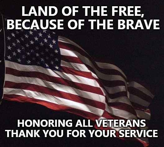 Land of the Free, Because of the Brave |  LAND OF THE FREE,
BECAUSE OF THE BRAVE; HONORING ALL VETERANS
THANK YOU FOR YOUR SERVICE | image tagged in veterans | made w/ Imgflip meme maker