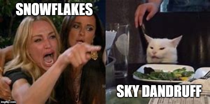 They're at it again, again | SNOWFLAKES; SKY DANDRUFF | image tagged in ladies yelling at confused cat,confused cat,memes,funny memes | made w/ Imgflip meme maker