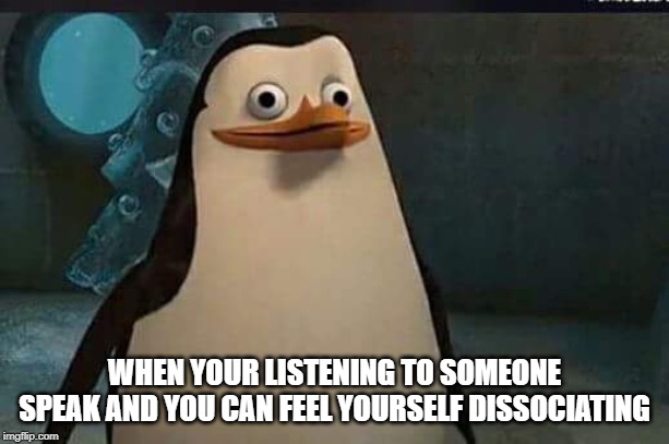 Madagascar penguin | WHEN YOUR LISTENING TO SOMEONE SPEAK AND YOU CAN FEEL YOURSELF DISSOCIATING | image tagged in madagascar penguin | made w/ Imgflip meme maker