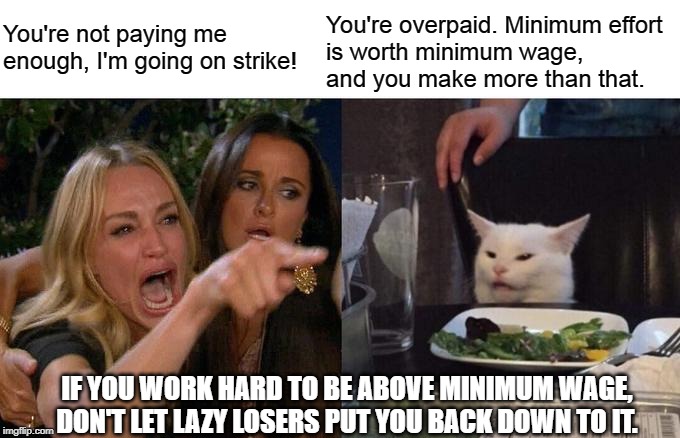 Woman Yelling At Cat Meme | You're overpaid. Minimum effort 
is worth minimum wage, 
and you make more than that. You're not paying me enough, I'm going on strike! IF YOU WORK HARD TO BE ABOVE MINIMUM WAGE,
DON'T LET LAZY LOSERS PUT YOU BACK DOWN TO IT. | image tagged in memes,woman yelling at cat | made w/ Imgflip meme maker