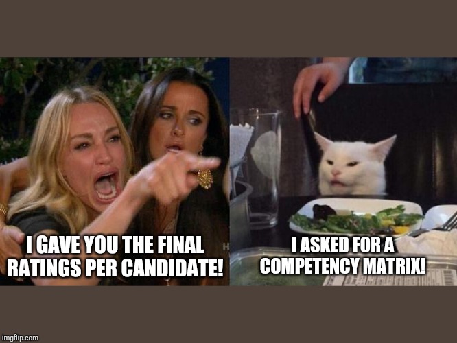 Woman Screaming at Cat | I GAVE YOU THE FINAL RATINGS PER CANDIDATE! I ASKED FOR A COMPETENCY MATRIX! | image tagged in woman screaming at cat | made w/ Imgflip meme maker