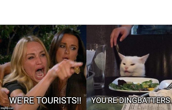 Woman Yelling At Cat | WE'RE TOURISTS!! YOU'RE DINGBATTERS | image tagged in memes,woman yelling at cat | made w/ Imgflip meme maker