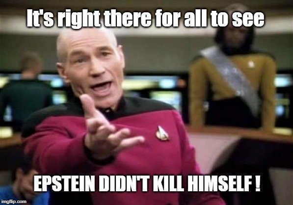 Jean-Luke Epstein | It's right there for all to see; EPSTEIN DIDN'T KILL HIMSELF ! | image tagged in picard wtf,political meme,funny memes,jeffrey epstein,jean luc picard | made w/ Imgflip meme maker