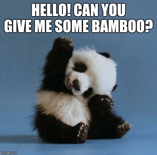 Panda | HELLO! CAN YOU GIVE ME SOME BAMBOO? | image tagged in panda | made w/ Imgflip meme maker