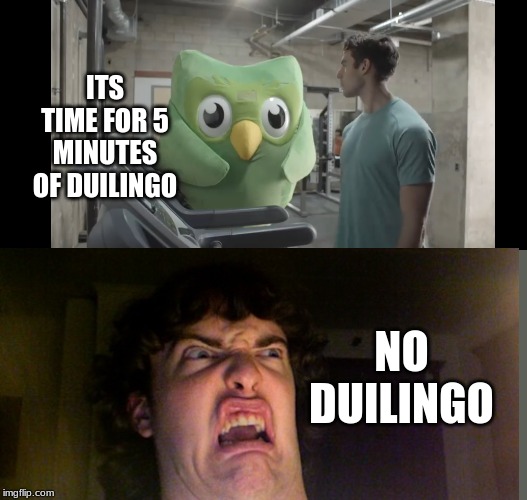 ITS TIME FOR 5 MINUTES OF DUILINGO; NO DUILINGO | image tagged in at the gym | made w/ Imgflip meme maker
