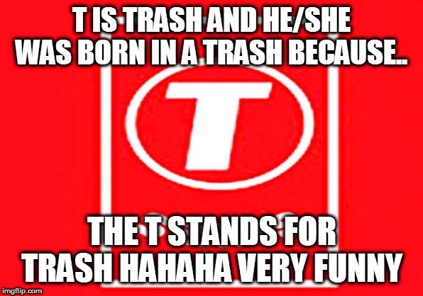 T-series | T IS TRASH AND HE/SHE WAS BORN IN A TRASH BECAUSE.. THE T STANDS FOR TRASH HAHAHA VERY FUNNY | image tagged in t-series | made w/ Imgflip meme maker