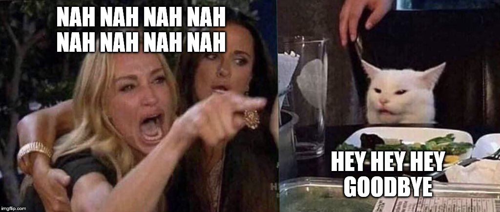 woman yelling at cat | NAH NAH NAH NAH
NAH NAH NAH NAH; HEY HEY HEY
GOODBYE | image tagged in woman yelling at cat | made w/ Imgflip meme maker