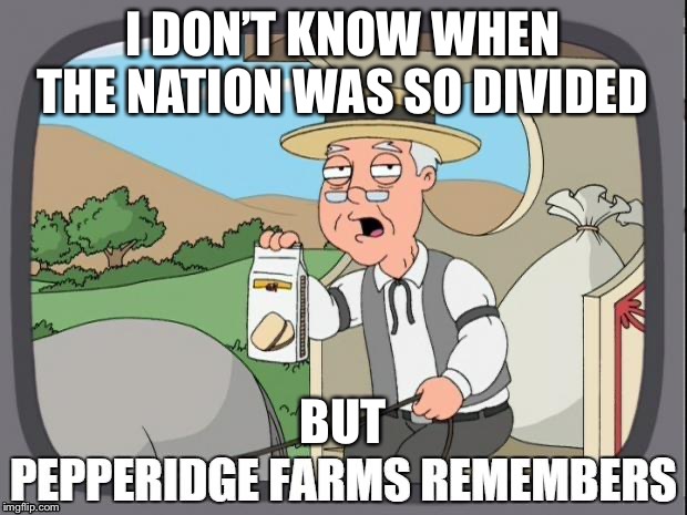 PEPPERIDGE FARMS REMEMBERS | I DON’T KNOW WHEN THE NATION WAS SO DIVIDED; BUT | image tagged in pepperidge farms remembers | made w/ Imgflip meme maker
