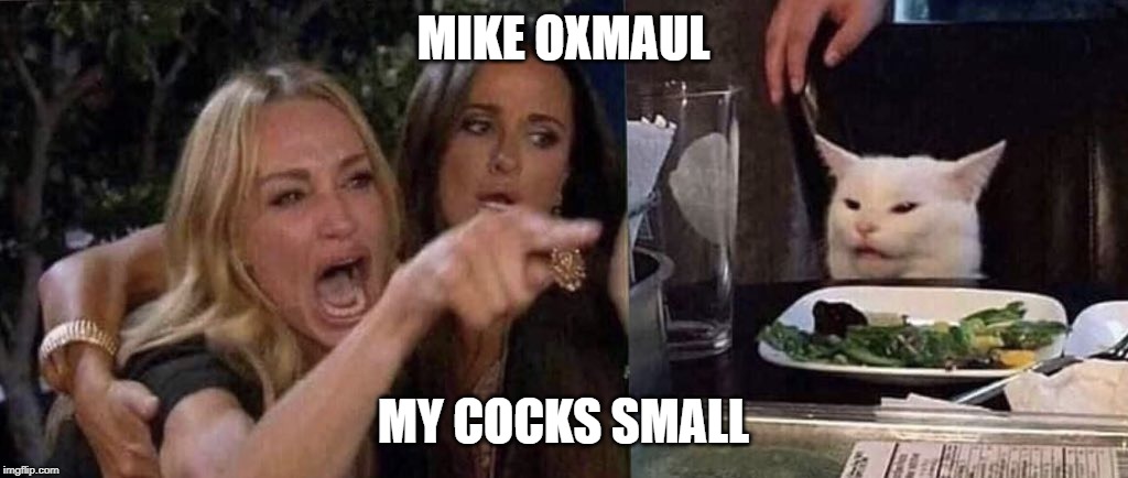 woman yelling at cat | MIKE OXMAUL; MY COCKS SMALL | image tagged in woman yelling at cat | made w/ Imgflip meme maker