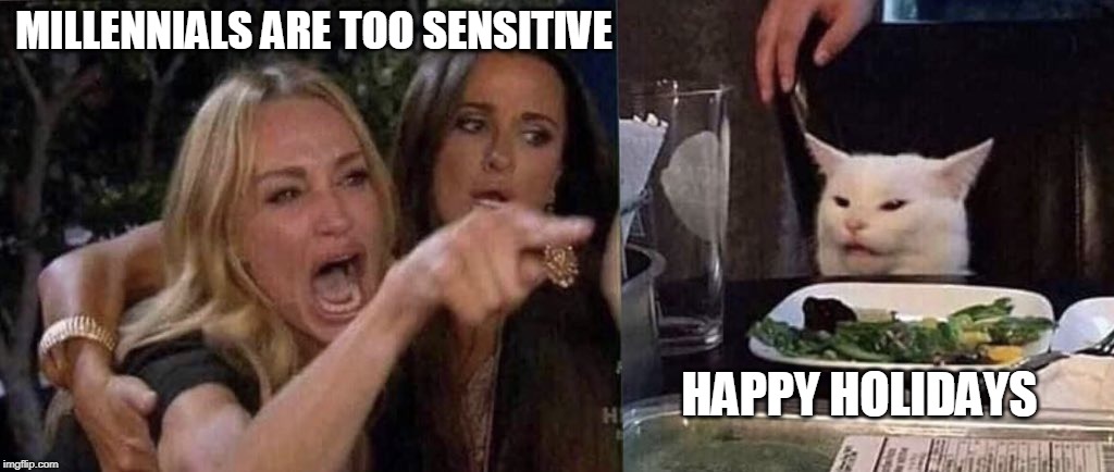 woman yelling at cat | MILLENNIALS ARE TOO SENSITIVE; HAPPY HOLIDAYS | image tagged in woman yelling at cat | made w/ Imgflip meme maker