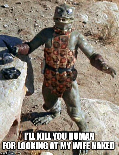 Star Trek The Gorn Whaaa? | I'LL KILL YOU HUMAN FOR LOOKING AT MY WIFE NAKED | image tagged in star trek the gorn whaaa | made w/ Imgflip meme maker