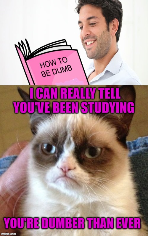 Final Exam | I CAN REALLY TELL YOU'VE BEEN STUDYING; YOU'RE DUMBER THAN EVER | image tagged in memes,grumpy cat,cat,dumb,funny memes | made w/ Imgflip meme maker