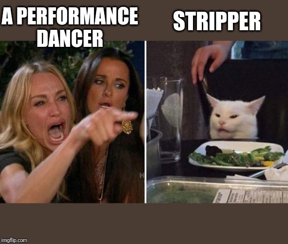 A PERFORMANCE DANCER; STRIPPER | image tagged in two women yelling at a cat | made w/ Imgflip meme maker