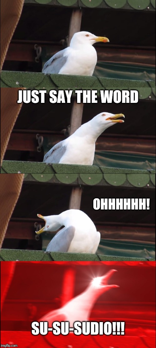 Inhaling Seagull Meme | JUST SAY THE WORD; OHHHHHH! SU-SU-SUDIO!!! | image tagged in memes,inhaling seagull | made w/ Imgflip meme maker