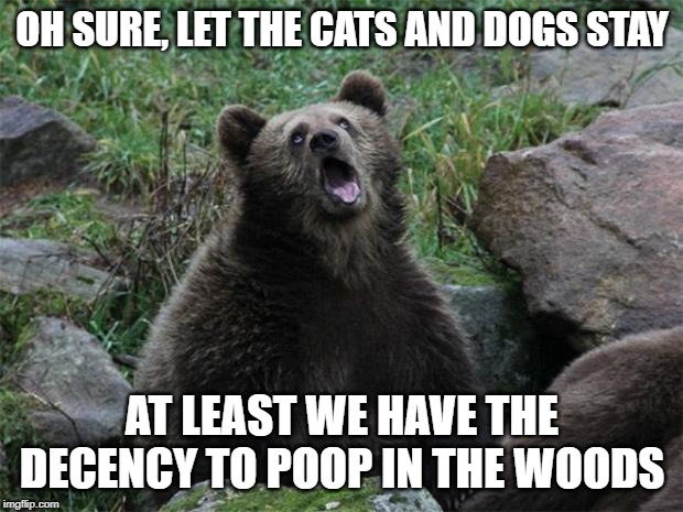 Sarcastic Bear | OH SURE, LET THE CATS AND DOGS STAY AT LEAST WE HAVE THE DECENCY TO POOP IN THE WOODS | image tagged in sarcastic bear | made w/ Imgflip meme maker