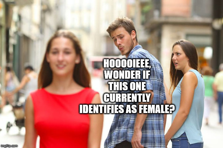 Distracted Boyfriend Meme | HOOOOIEEE, WONDER IF THIS ONE CURRENTLY IDENTIFIES AS FEMALE? | image tagged in memes,distracted boyfriend | made w/ Imgflip meme maker