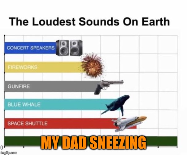 The hamsters stop to listen | MY DAD SNEEZING | image tagged in the loudest sounds on earth | made w/ Imgflip meme maker